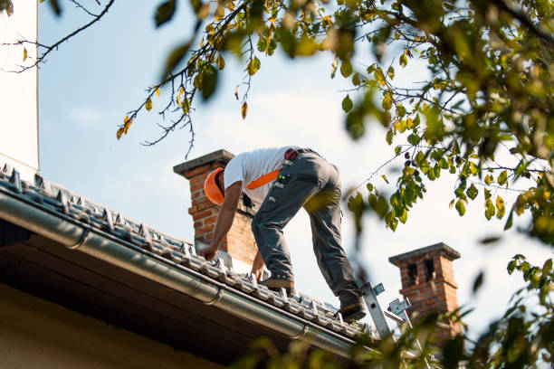 Professional Roofing Contractor in Ruleville, MS