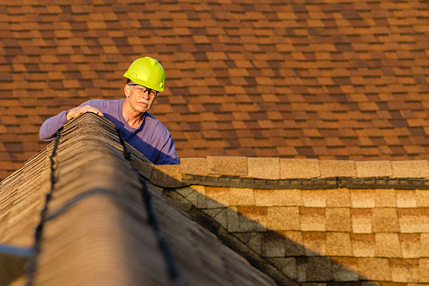 Best Roof Gutter Cleaning  in Ruleville, MS