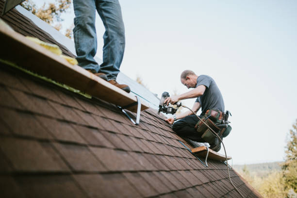 Best Storm Damage Roof Repair  in Ruleville, MS